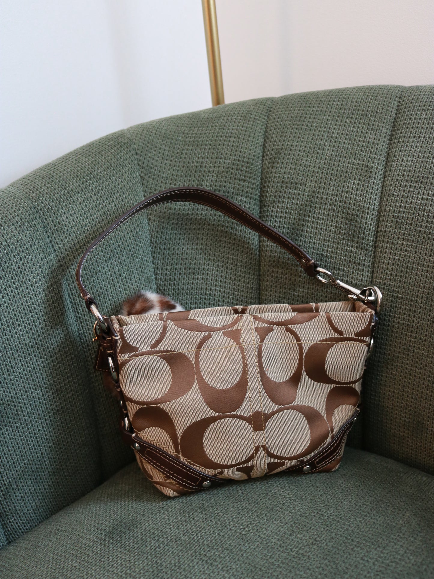 Brown Coach Signature Mini Carly Bag
