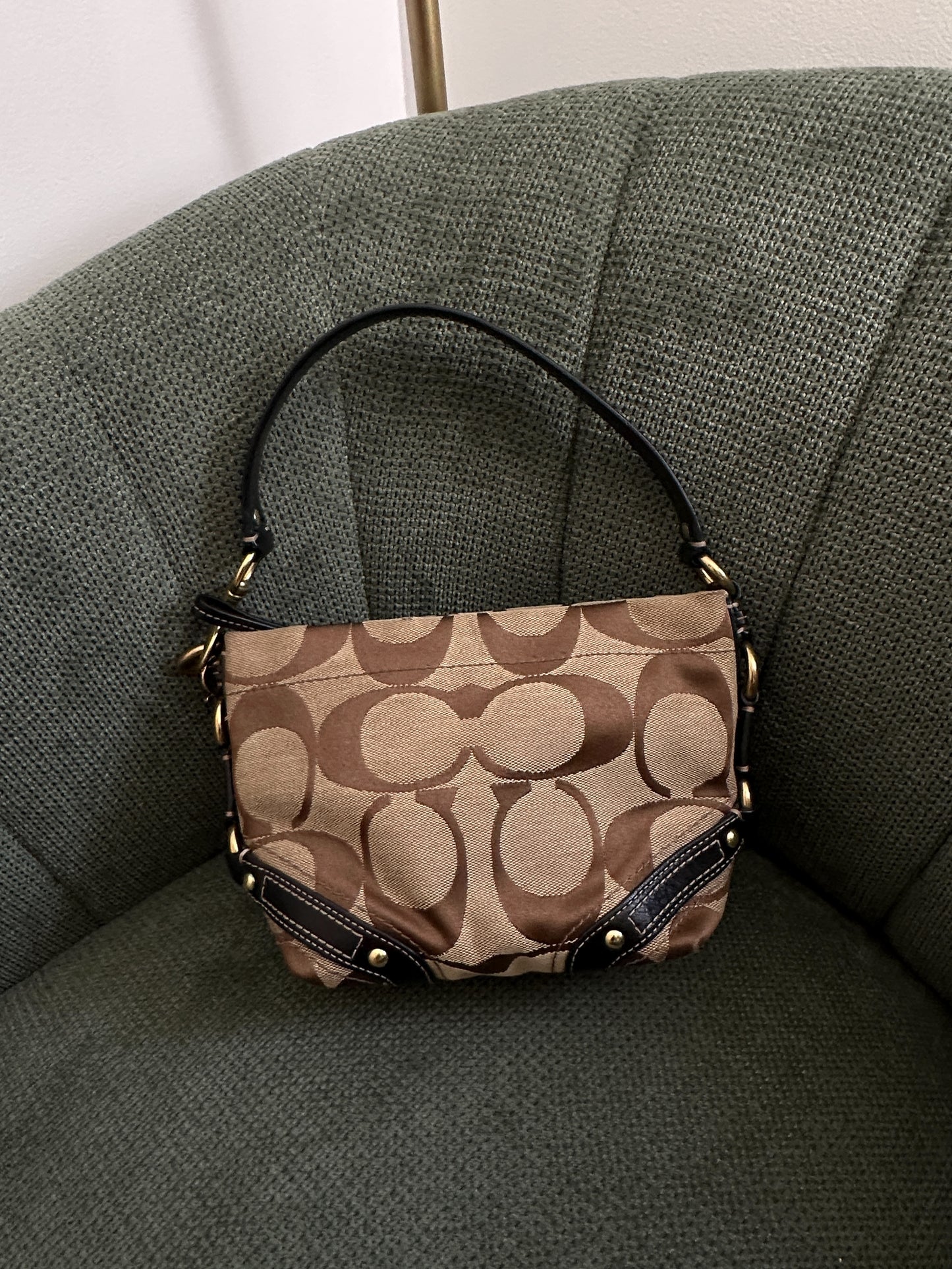 Brown Coach Signature Mini Carly Bag