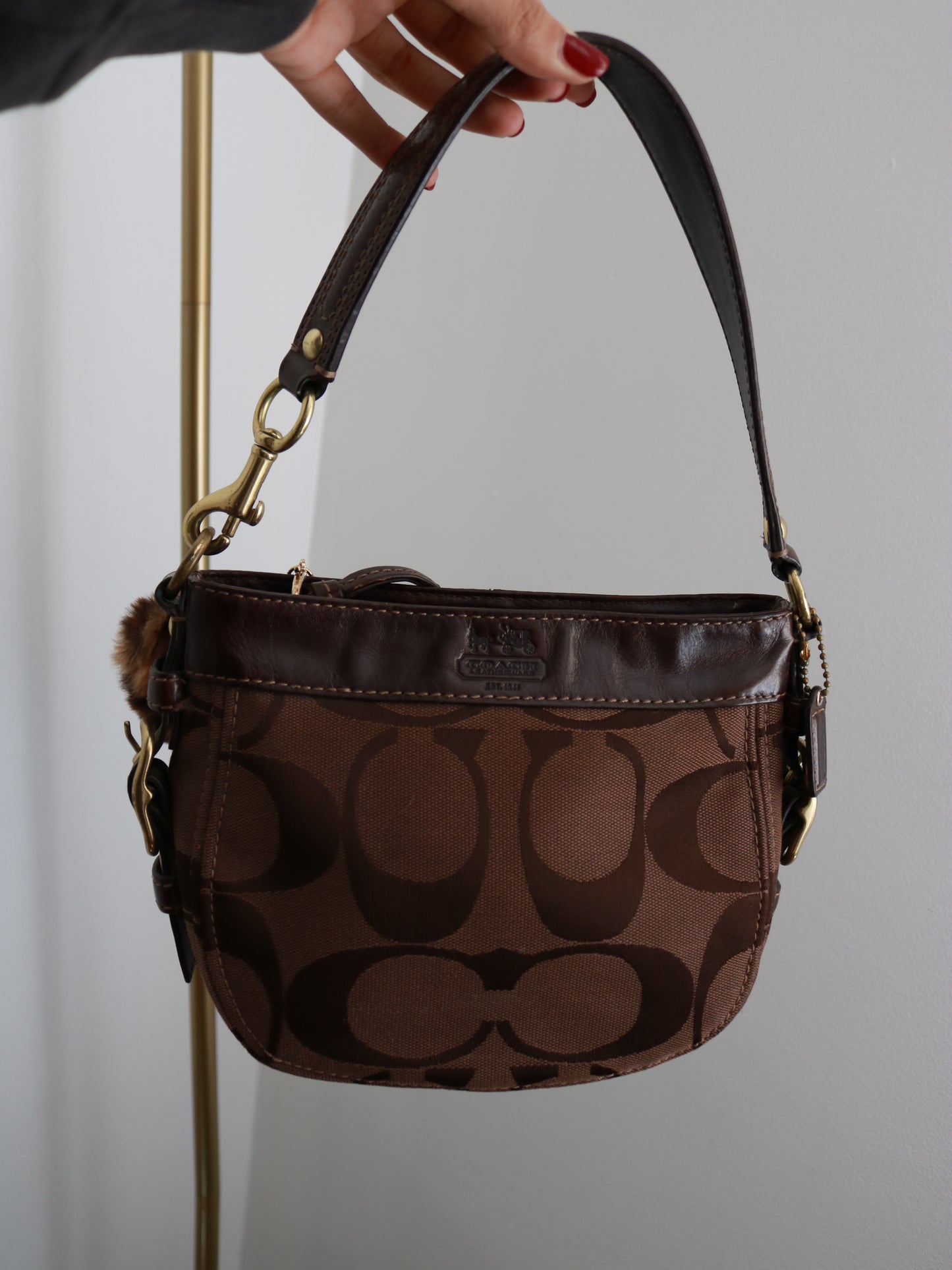 Brown Coach Mini Zoe Bag
