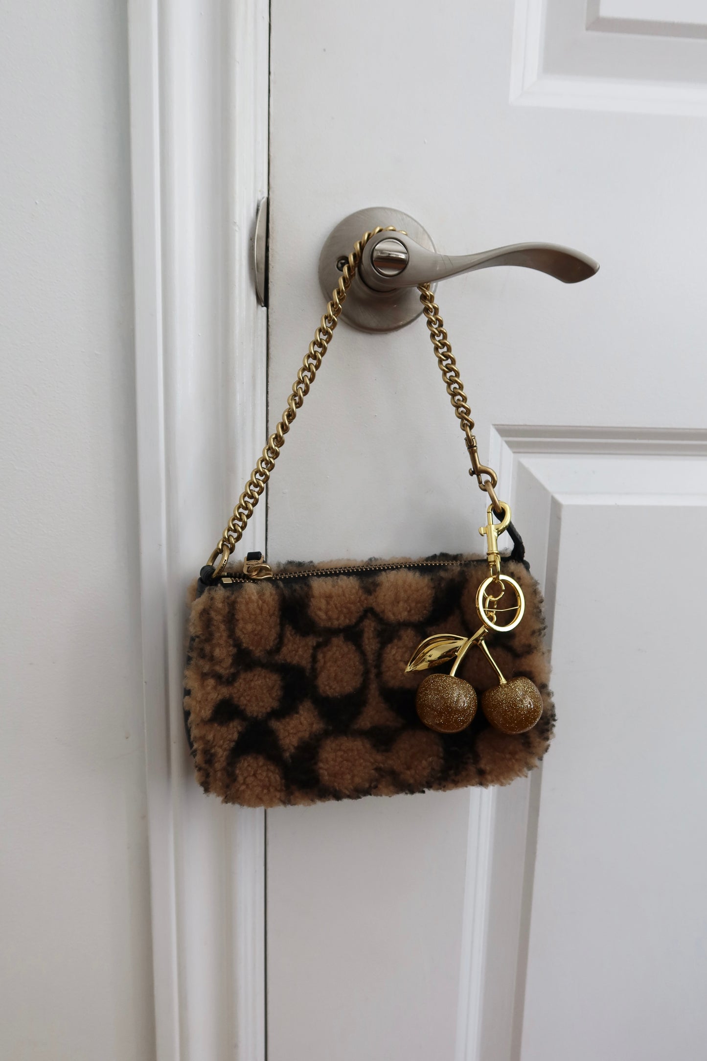 Limited Edition Coach Nolita 19 Shearling Bag