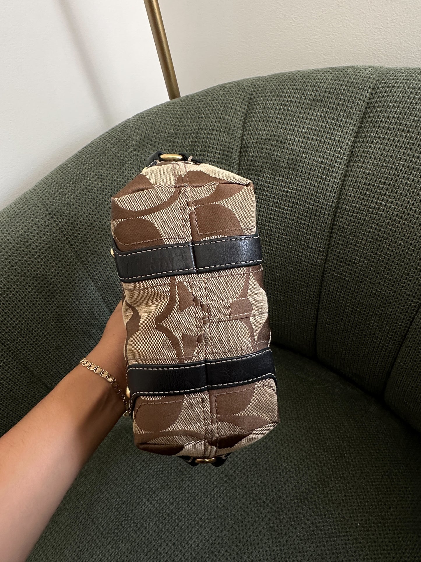 Brown Coach Signature Mini Carly Bag