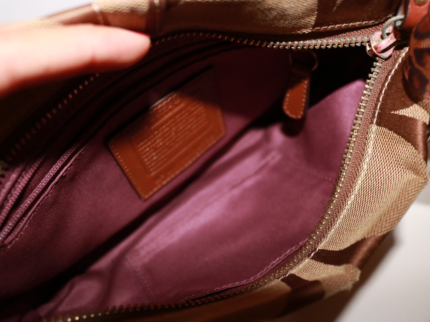 Coach Brown Mini Carly Bag