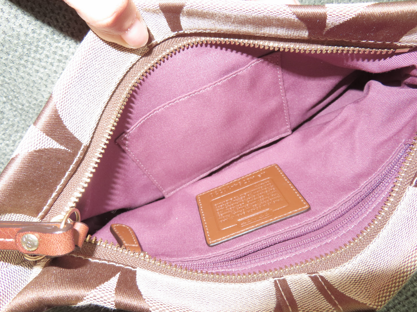 Coach Brown Mini Carly Bag