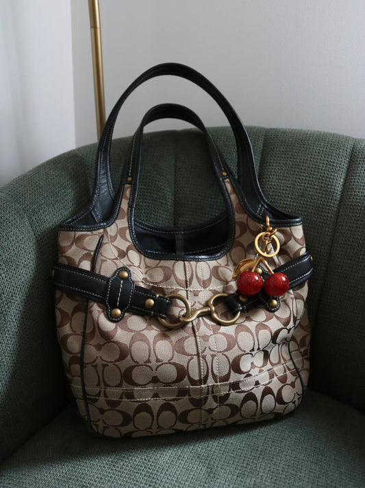 Coach Signature Ergo Mini Tote Bag