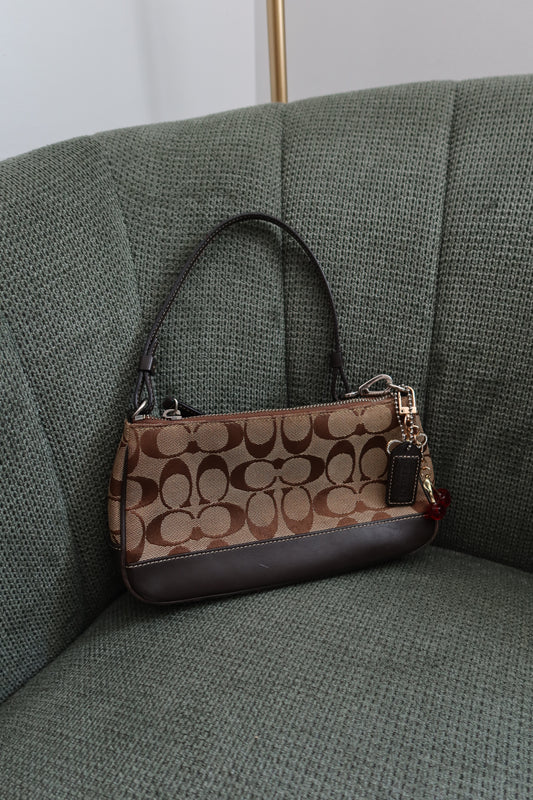 Coach Brown Demi Hamptons Bag