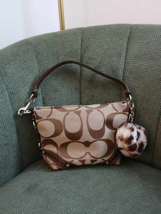 Brown Coach Signature Mini Carly Bag