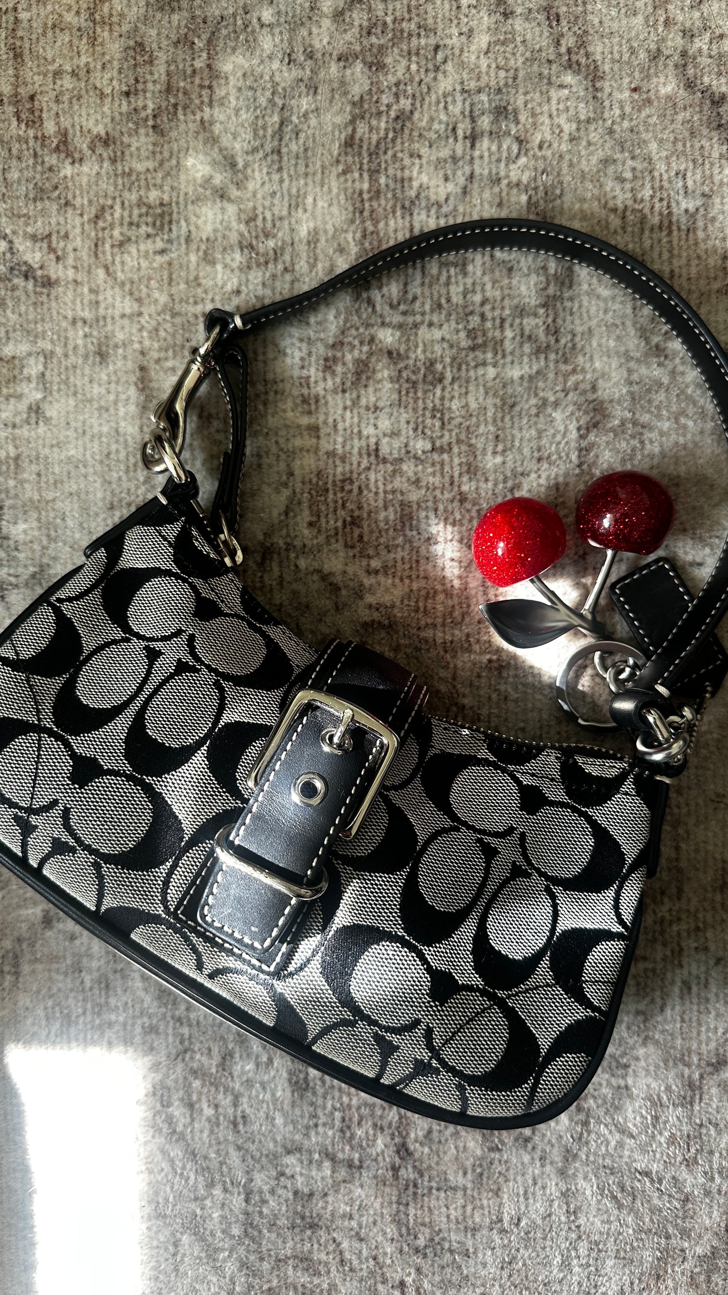 Coach Grey Demi Hamptons Buckle Bag