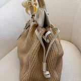 Prada Cinghiale Trimmed Pagila Frame Bag