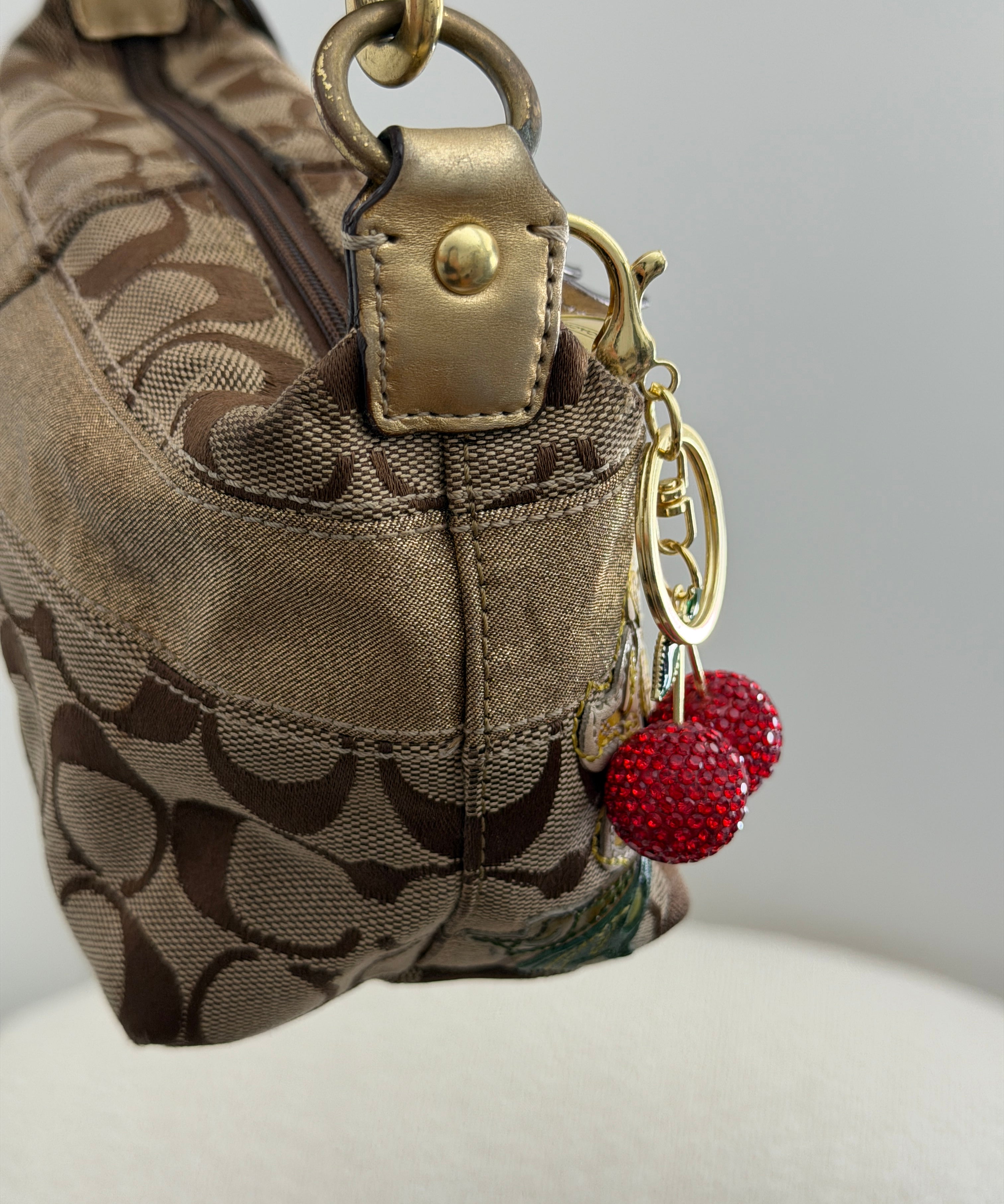 Coach Flower Applique Pochette Bag