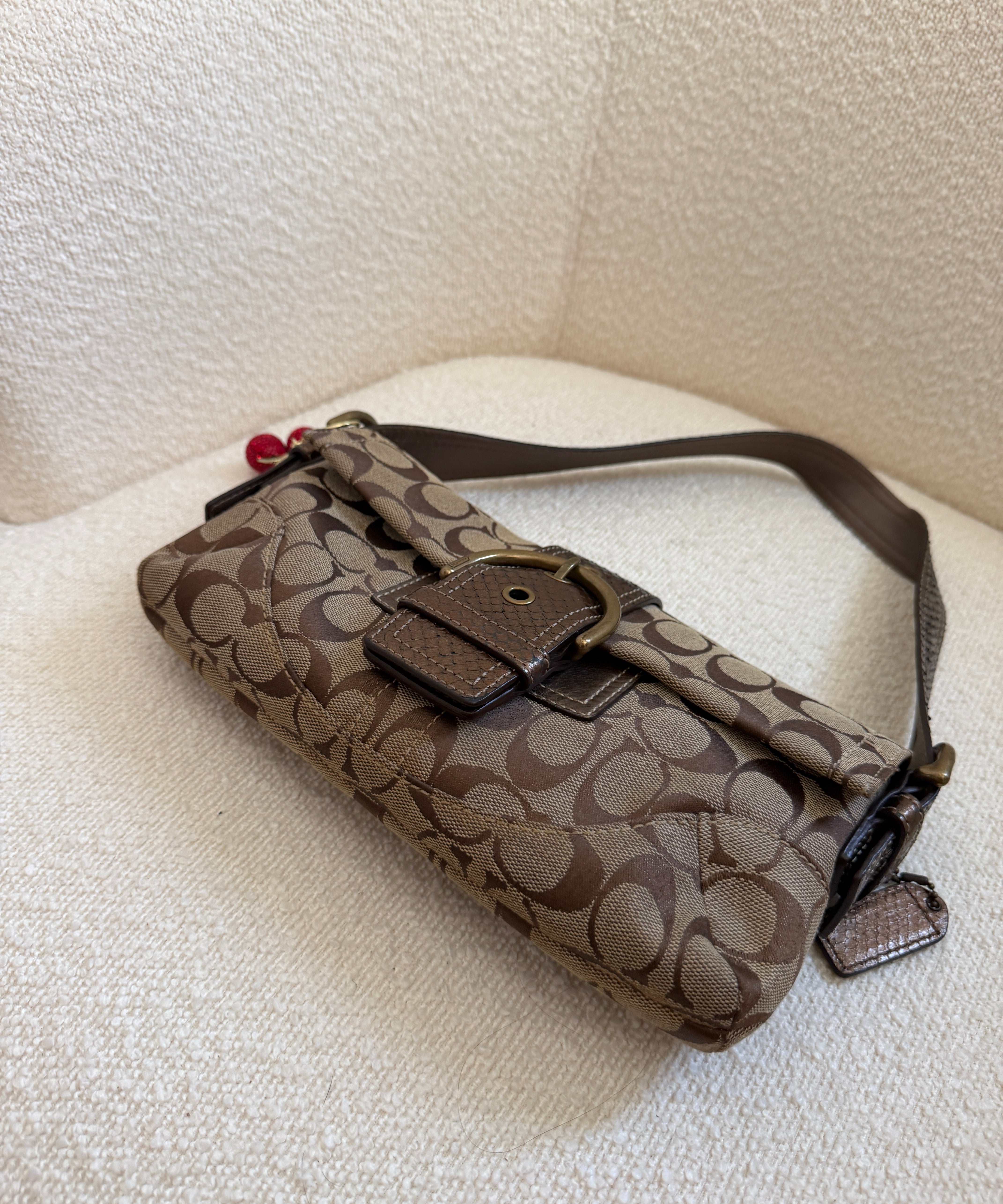 Brown Snakeskin Trim Coach Soho Demi Flap