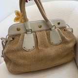 Prada Cinghiale Trimmed Pagila Frame Bag