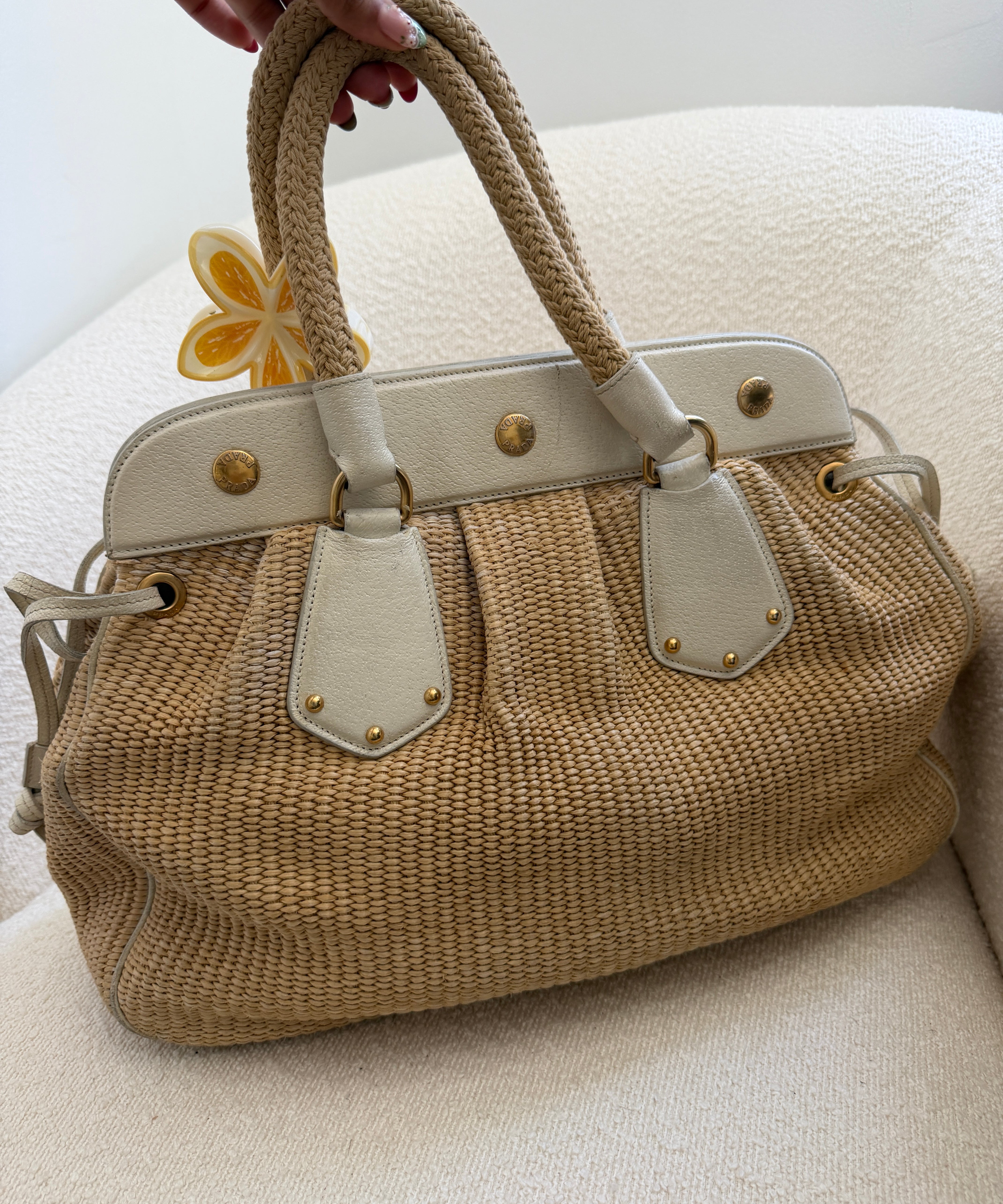 Prada Cinghiale Trimmed Pagila Frame Bag