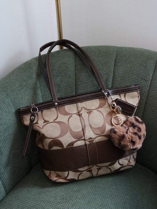 Coach Brown Monogram Stripe Tote Bag