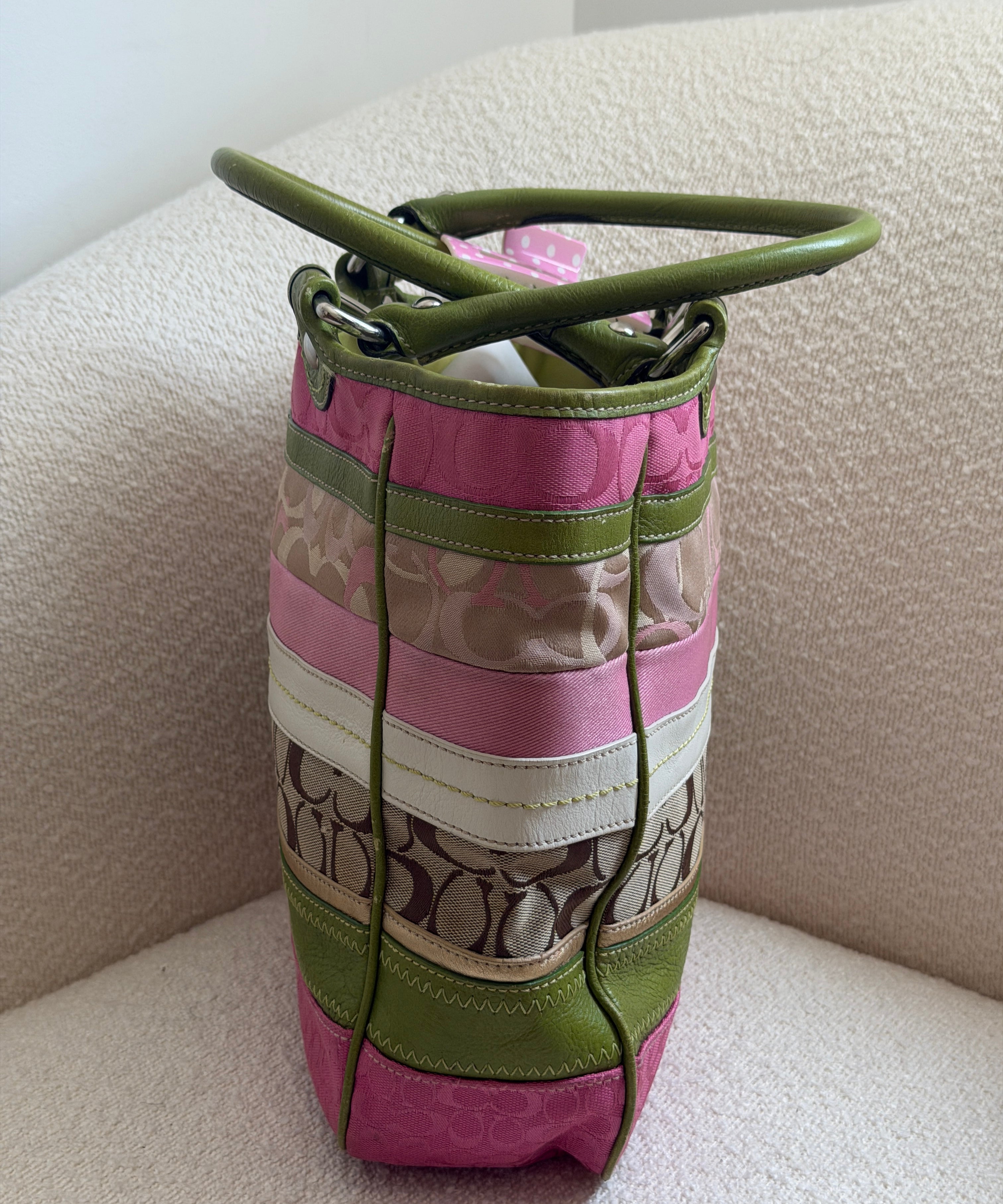Spring Daisy Coach Bleeker Signature Tote Bag