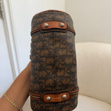 Dior Mini Romantique Trotter Hand Bag