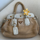 Prada Cinghiale Trimmed Pagila Frame Bag