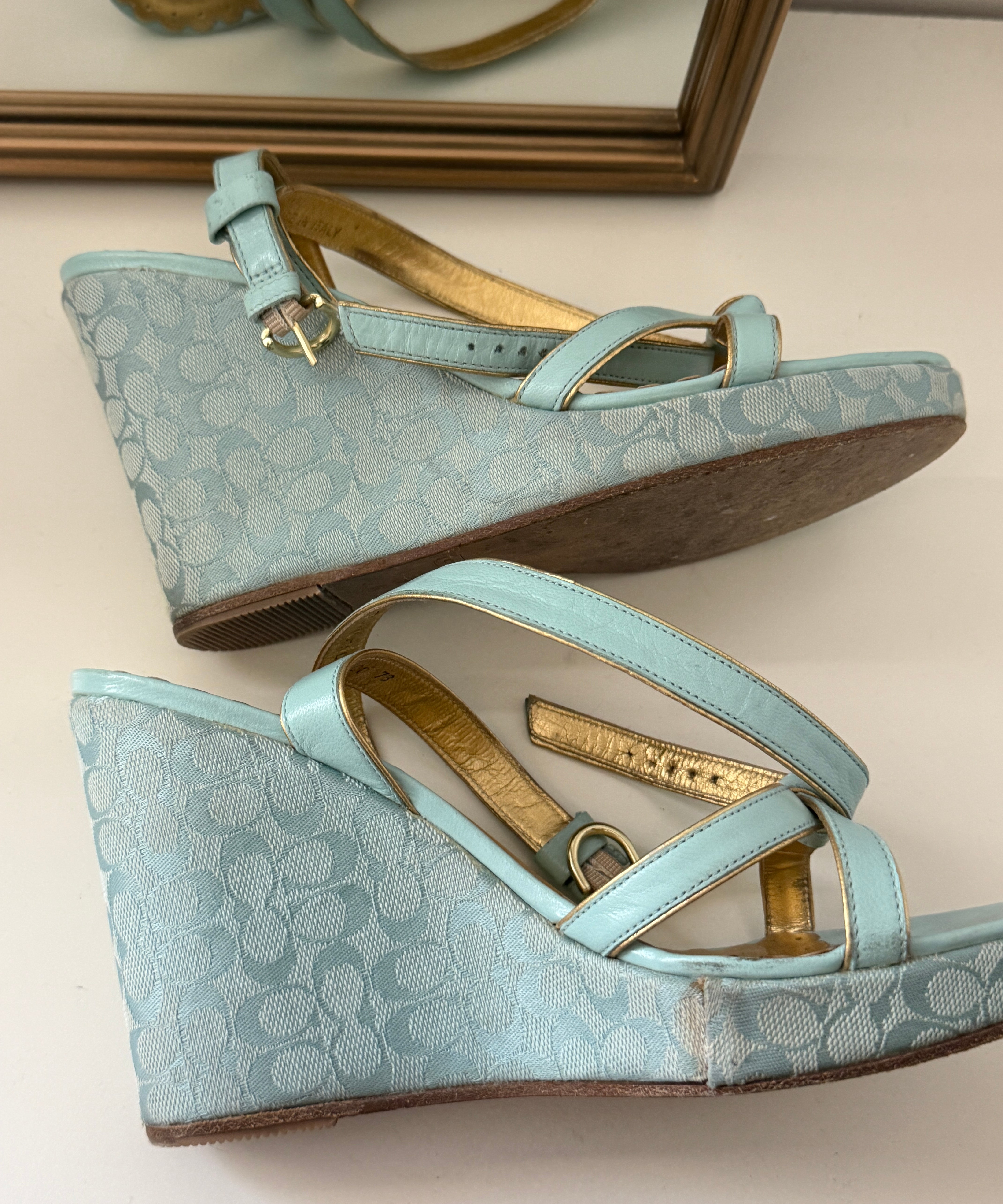 Coach Blue Peep-Toe Cathleen Wedges (7)