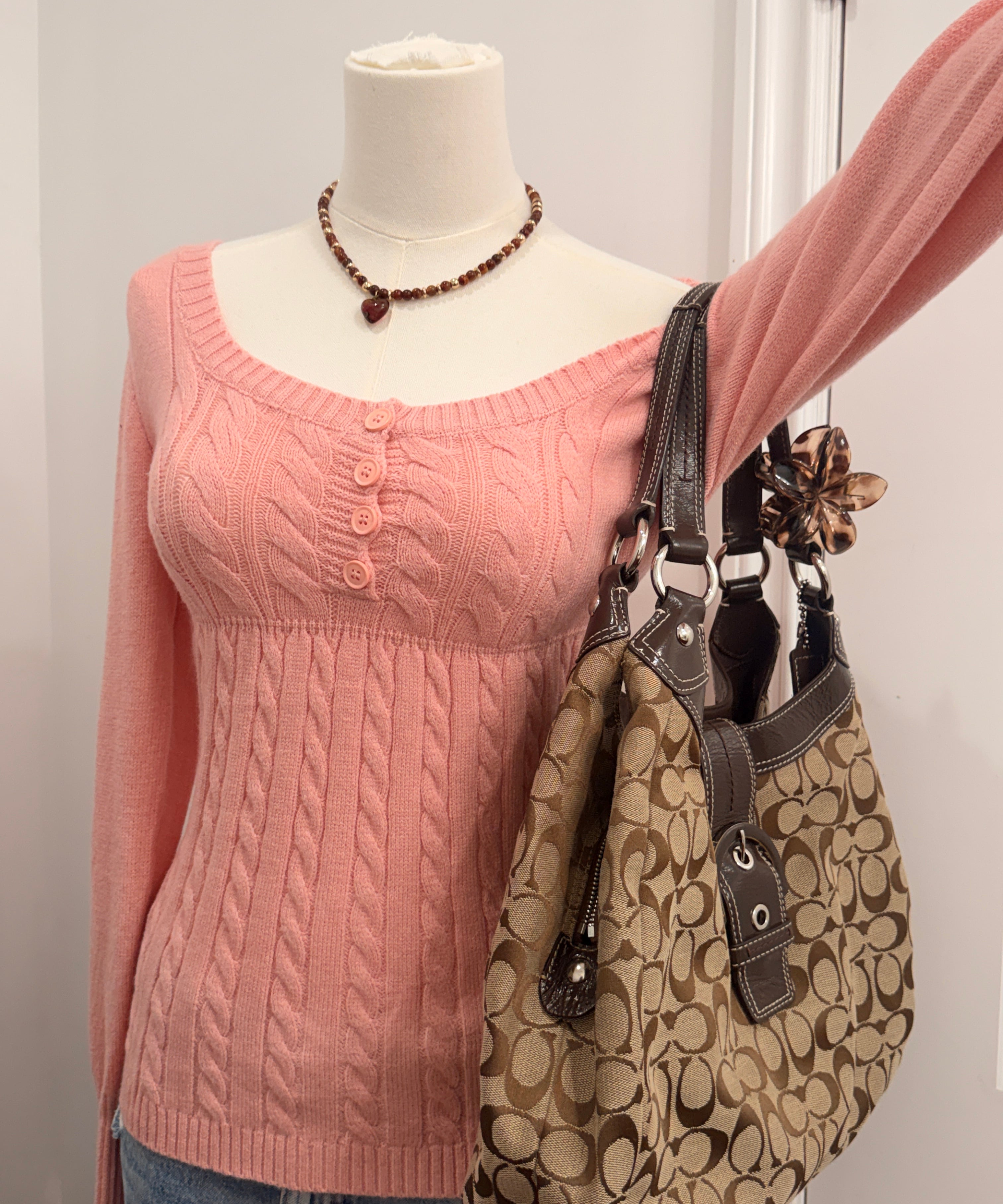 Brown Coach Signature Soho Lynn Bag