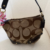 Brown Canvas Small Carly Bag