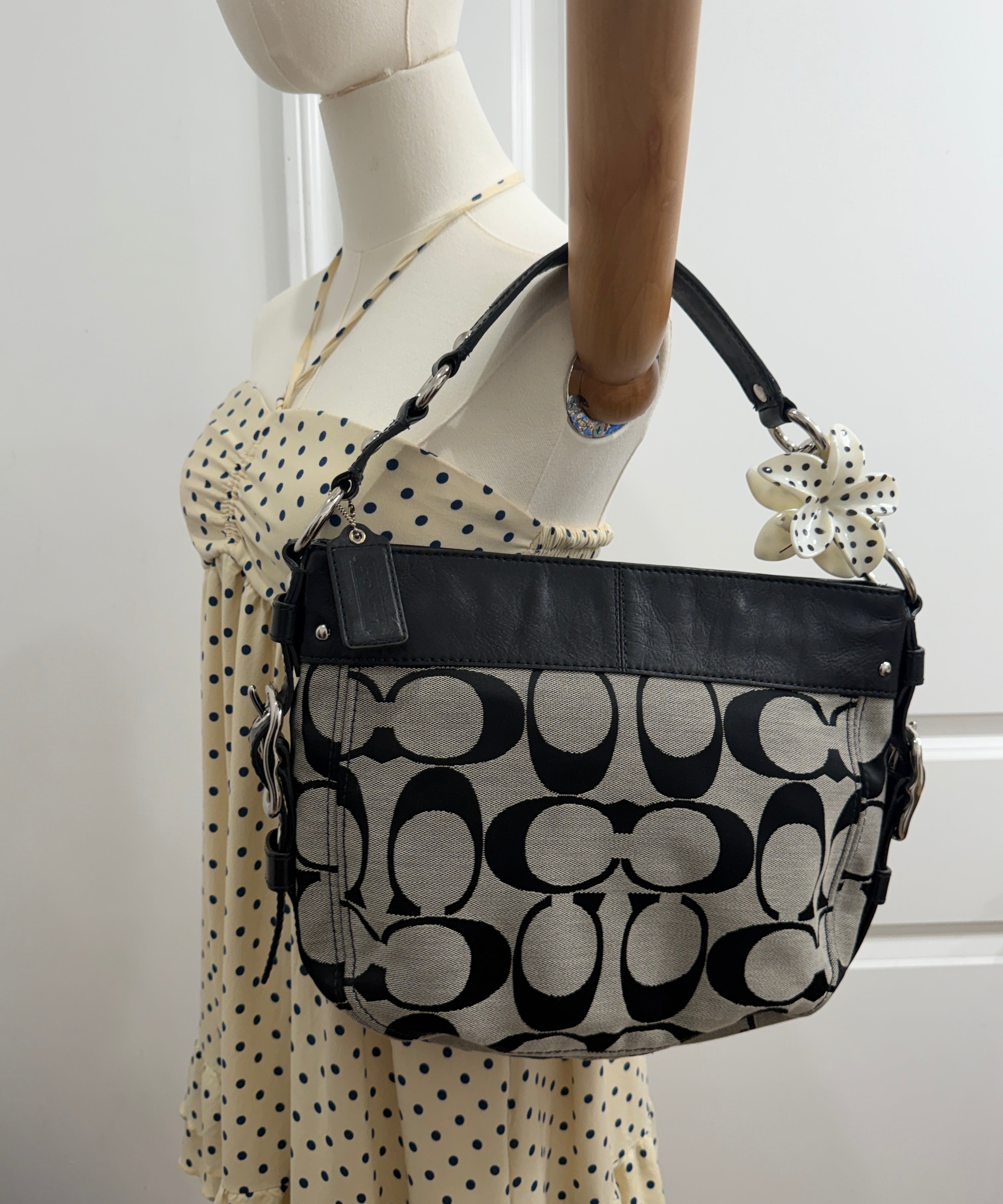 Coach Grey Signature Zoe Bag