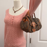 Dior Mini Romantique Trotter Hand Bag