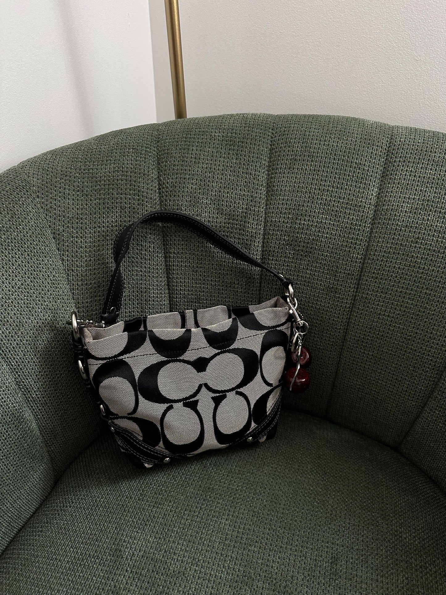 Grey Coach Signature Mini Carly Bag