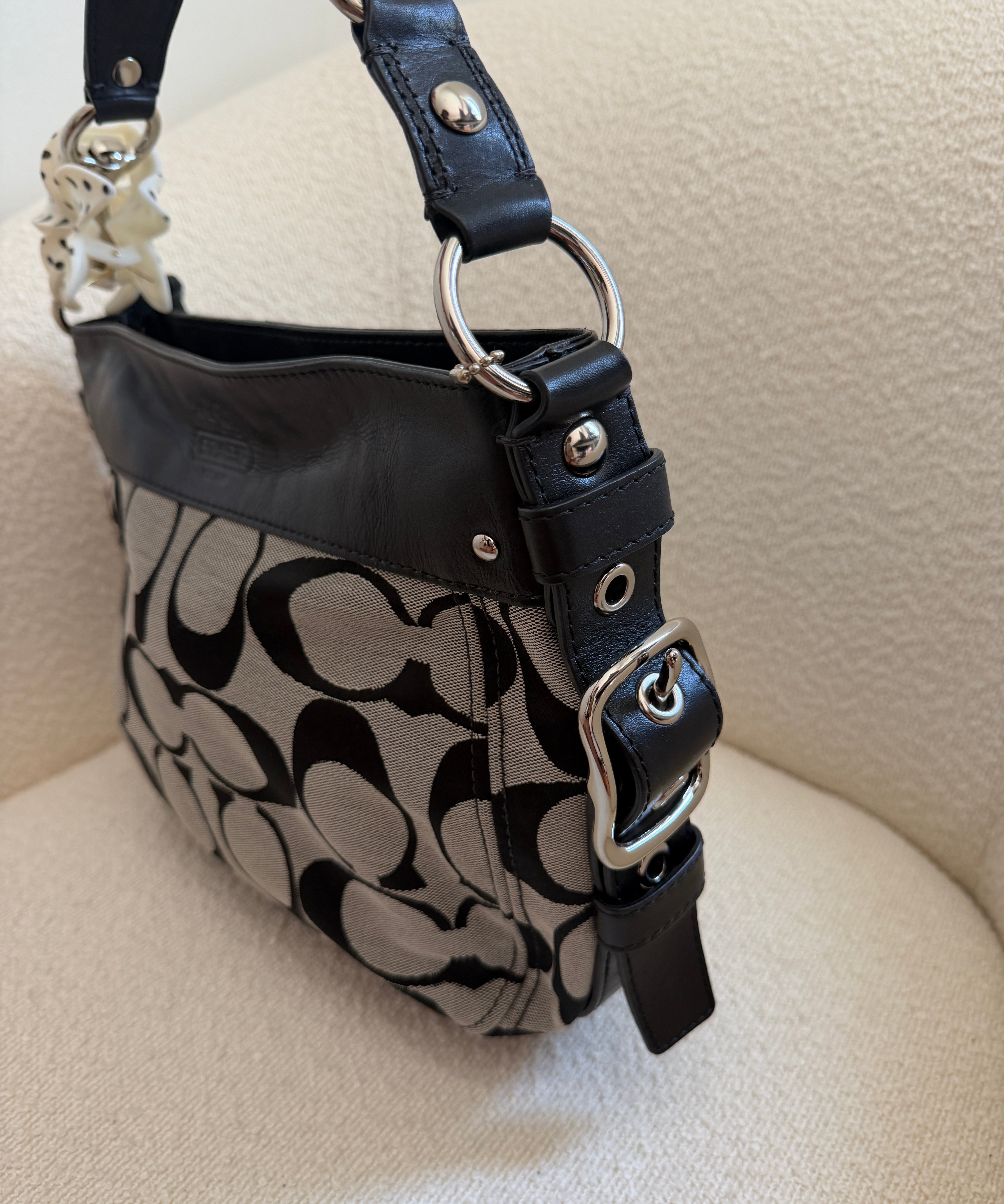 Coach Grey Signature Zoe Bag
