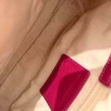 Coach Pink Stripe Mini Signature Shoulder Bag