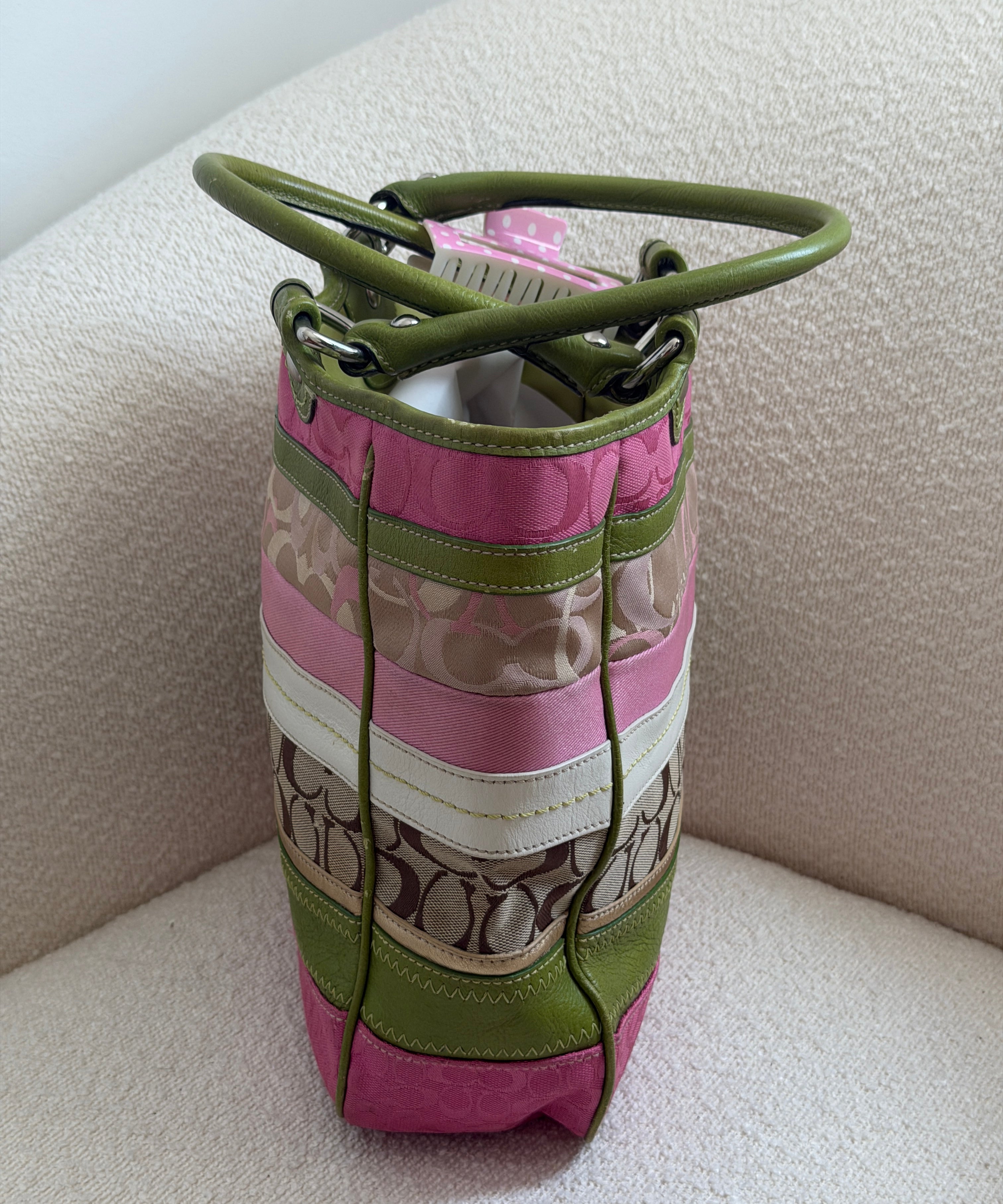 Spring Daisy Coach Bleeker Signature Tote Bag