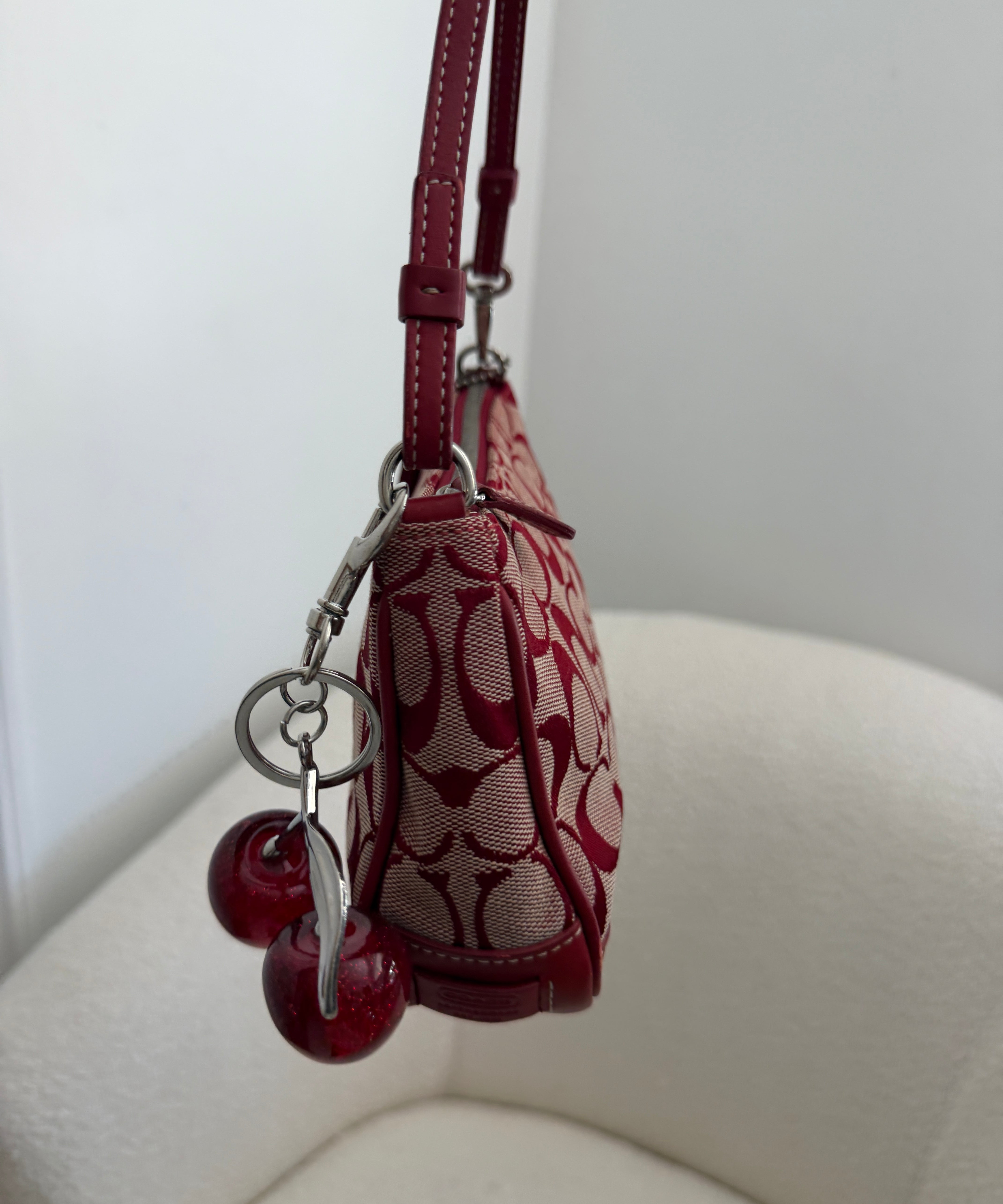 Coach Red Signature Demi Hamptons Bag