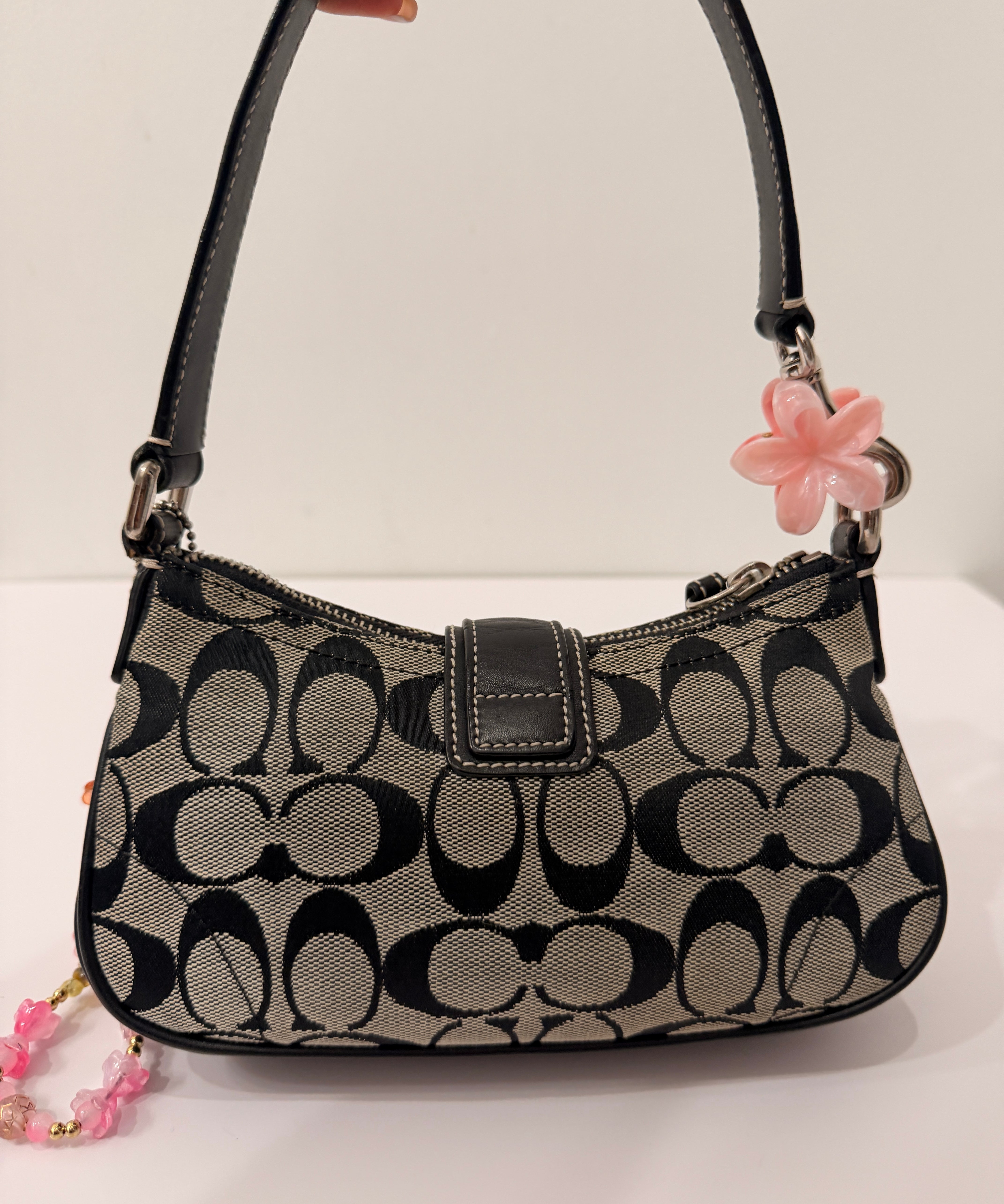 Coach Grey Signature Demi Hamptons Bag