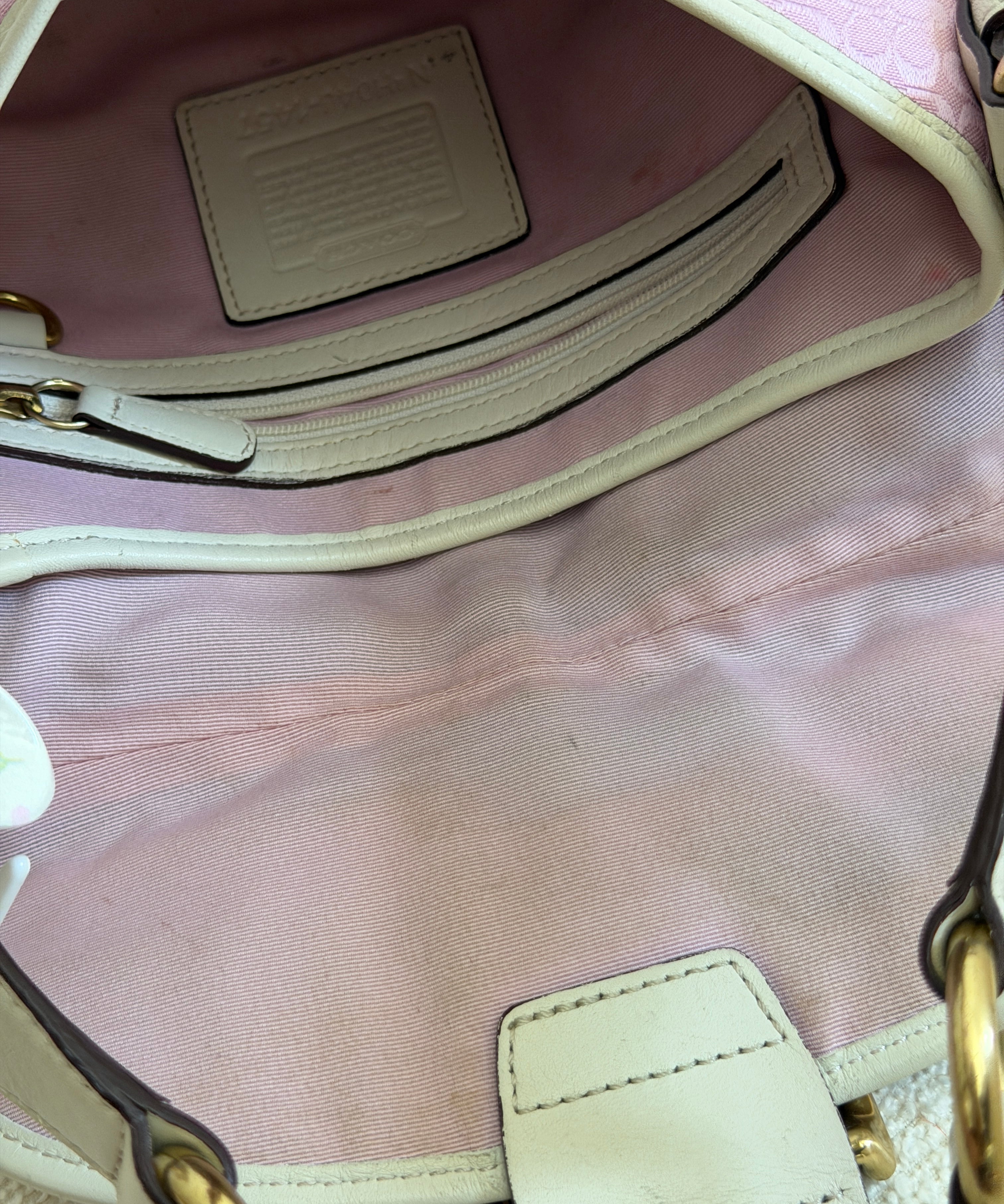 Rare Pink Canvas Mini Soho Bag