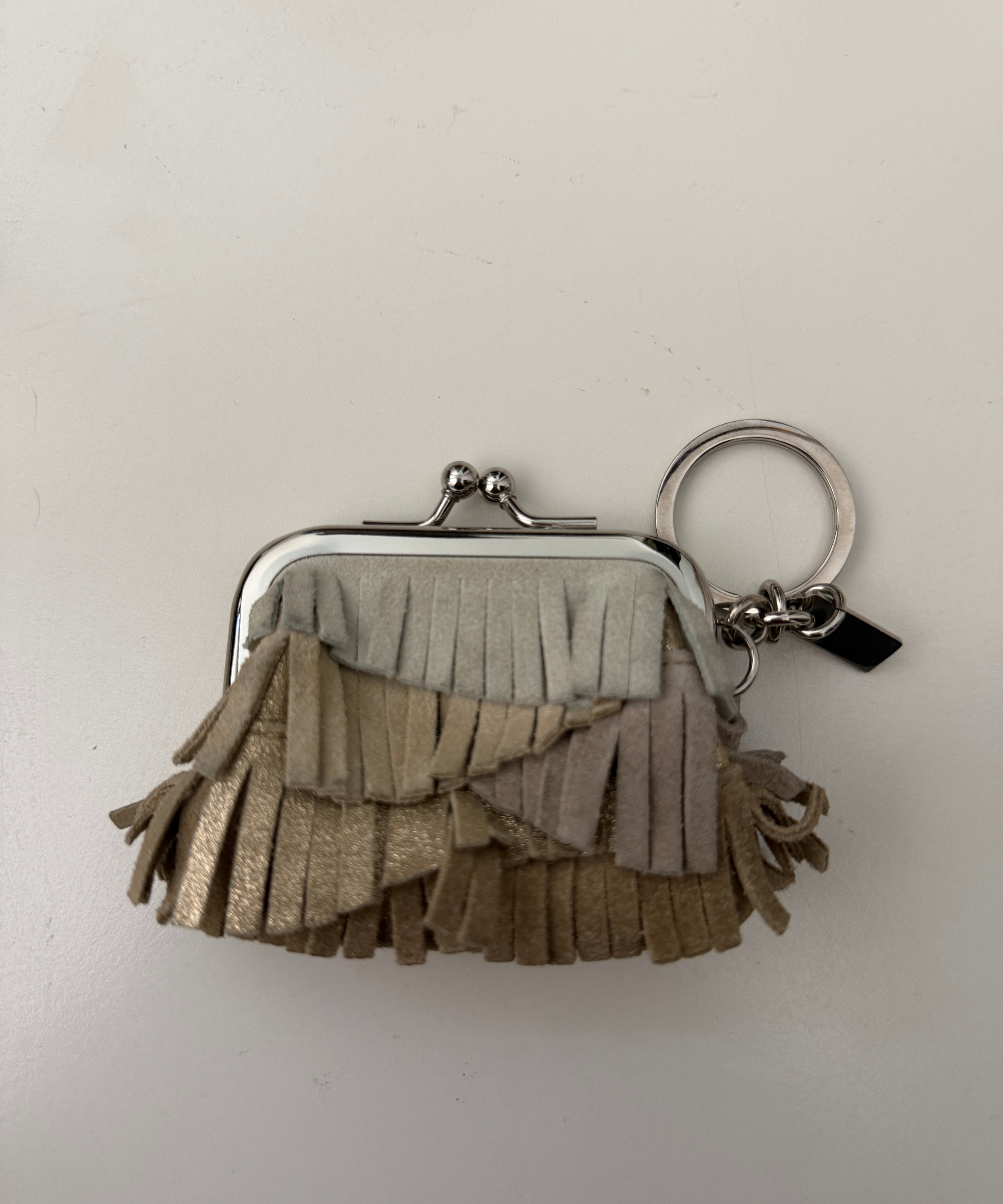 Coach Ruffle Ombré Coin Purse