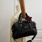 Black Coach Signature Ashley Bag with Snakeskin Trim