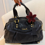 Black Coach Signature Ashley Bag with Snakeskin Trim