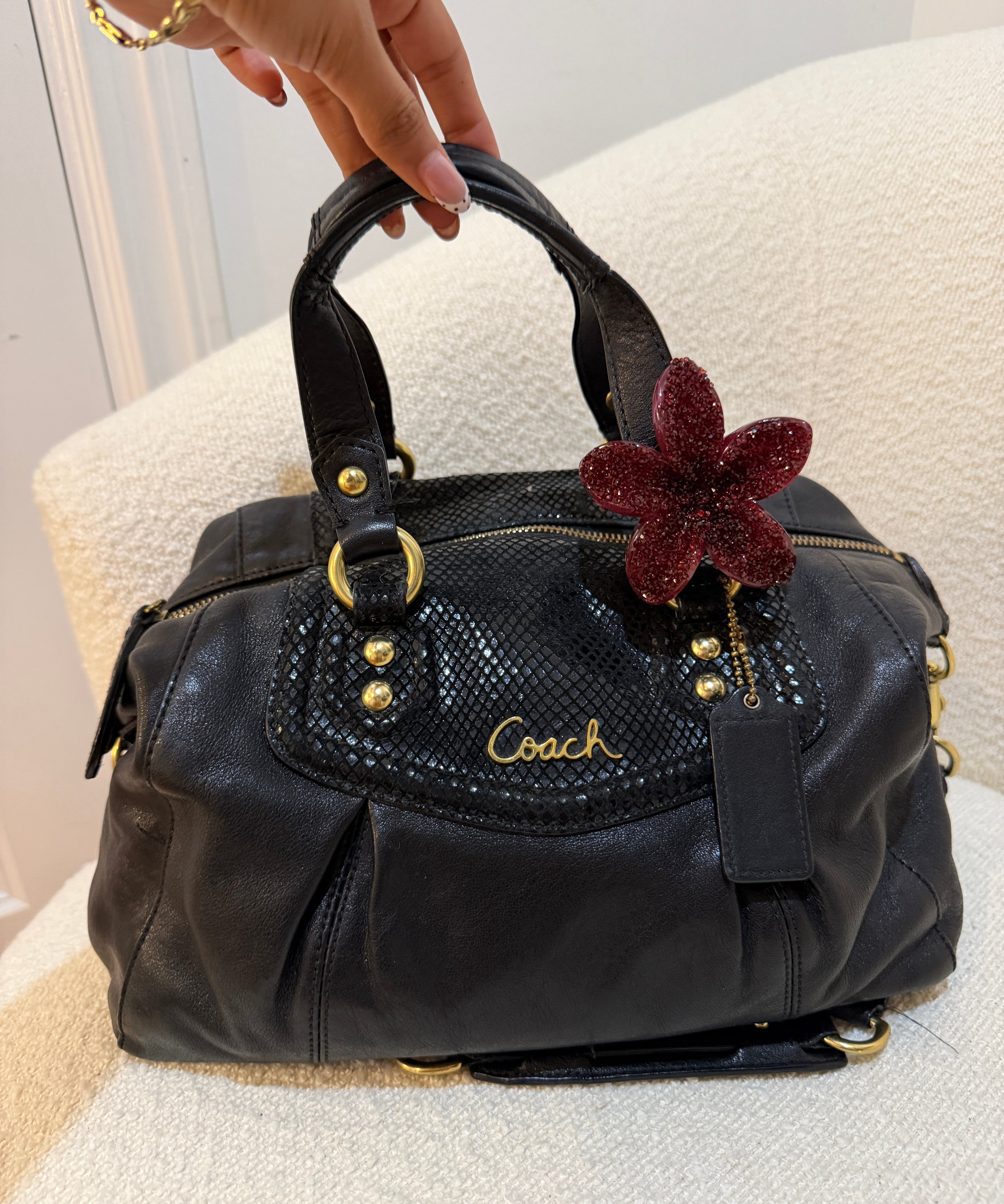 Black Coach Signature Ashley Bag with Snakeskin Trim