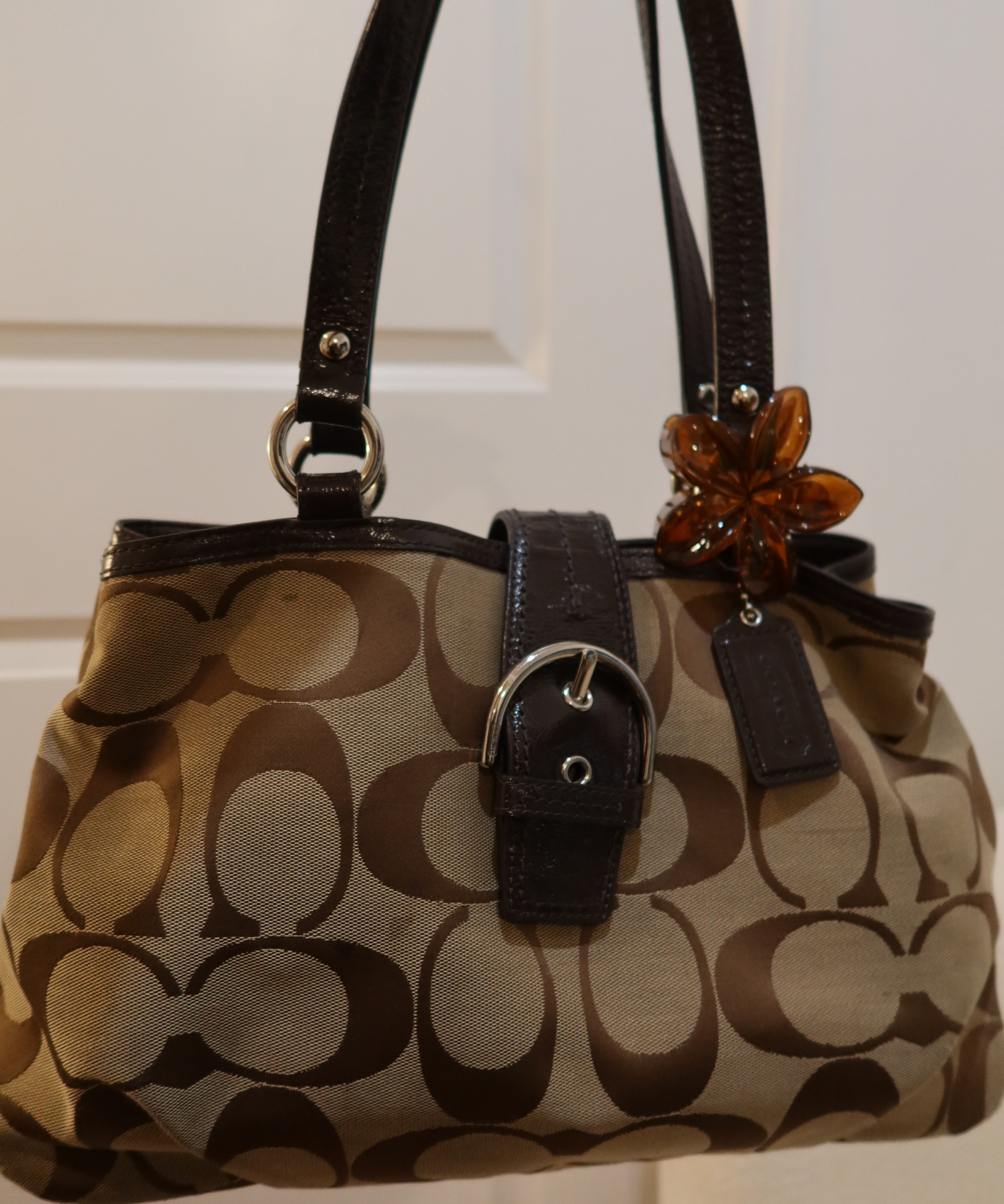 Coach Brown Signature Tote Bag