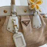 Prada Cinghiale Trimmed Pagila Frame Bag