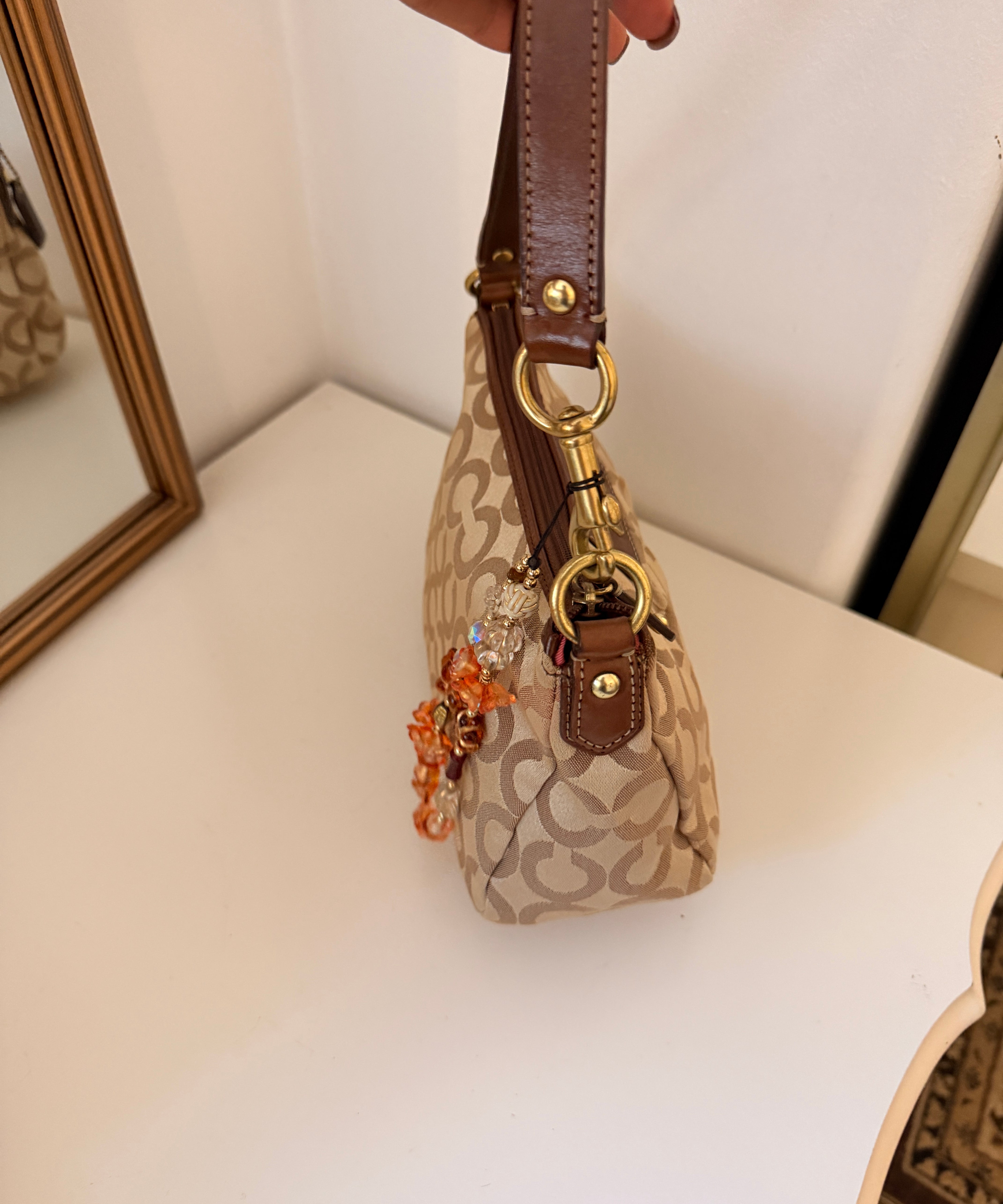 Coach Brown Op Art Madison Mini Bag