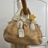 Prada Cinghiale Trimmed Pagila Frame Bag