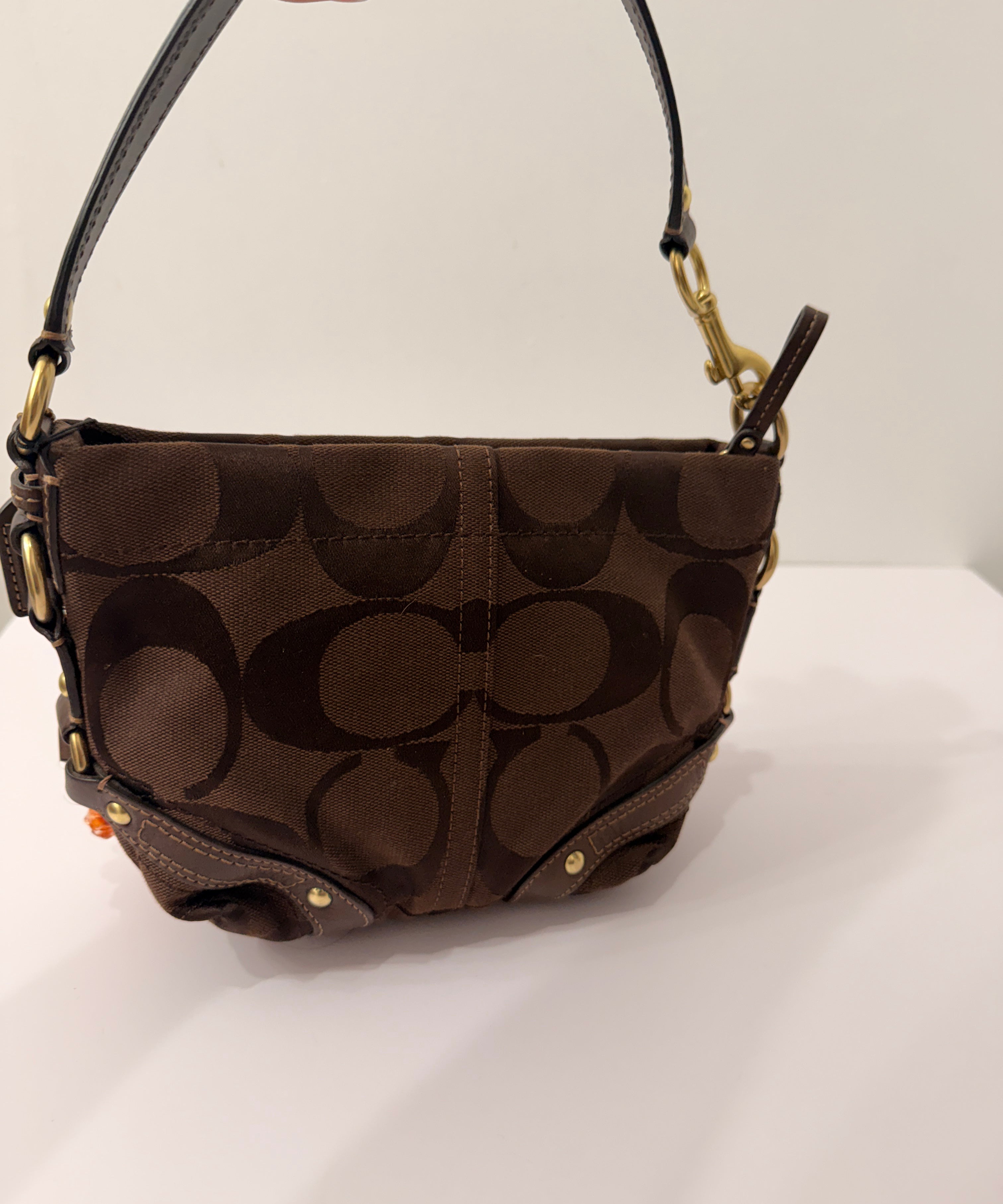 Brown Canvas Small Carly Bag