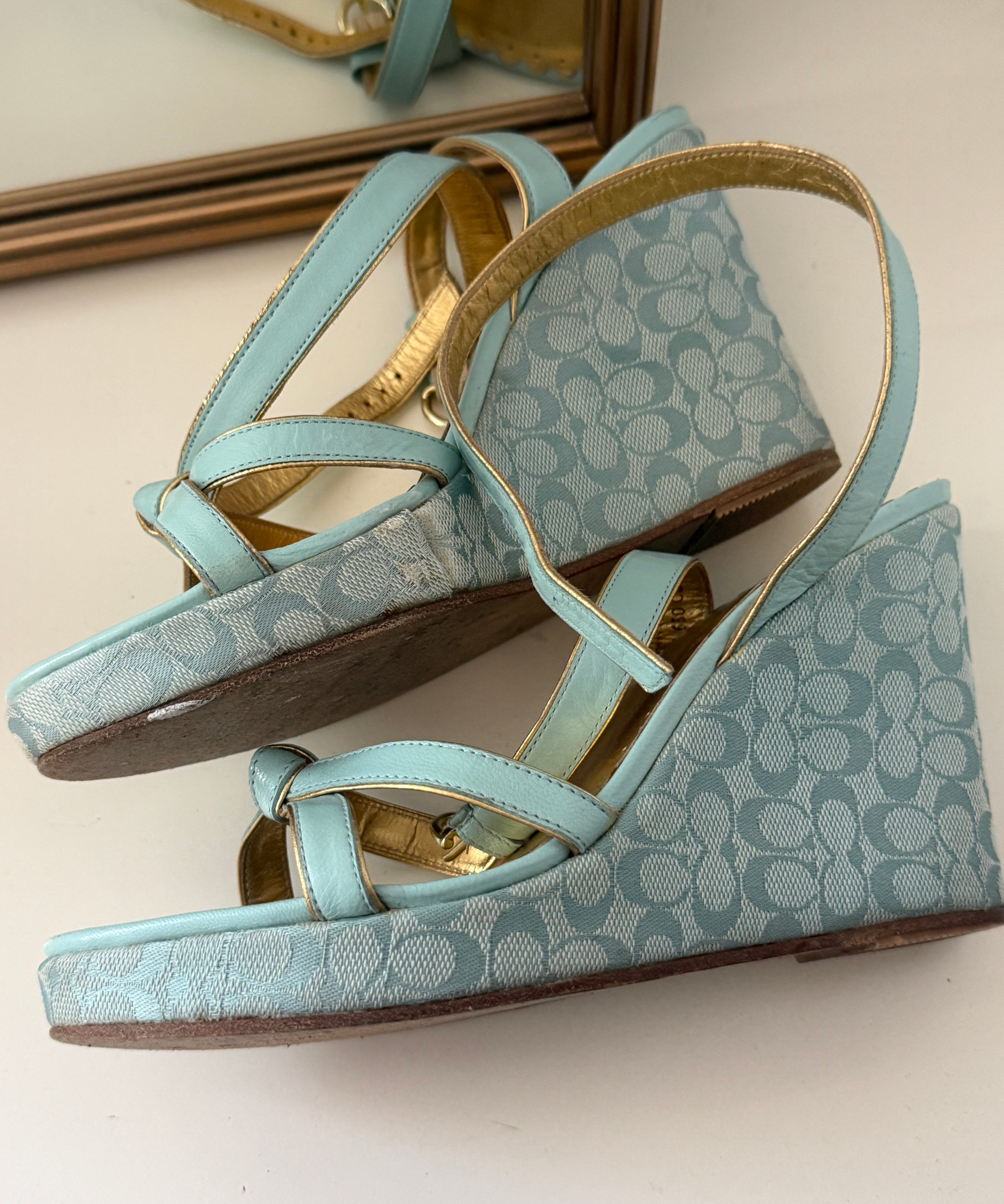 Coach Blue Peep-Toe Cathleen Wedges (7)