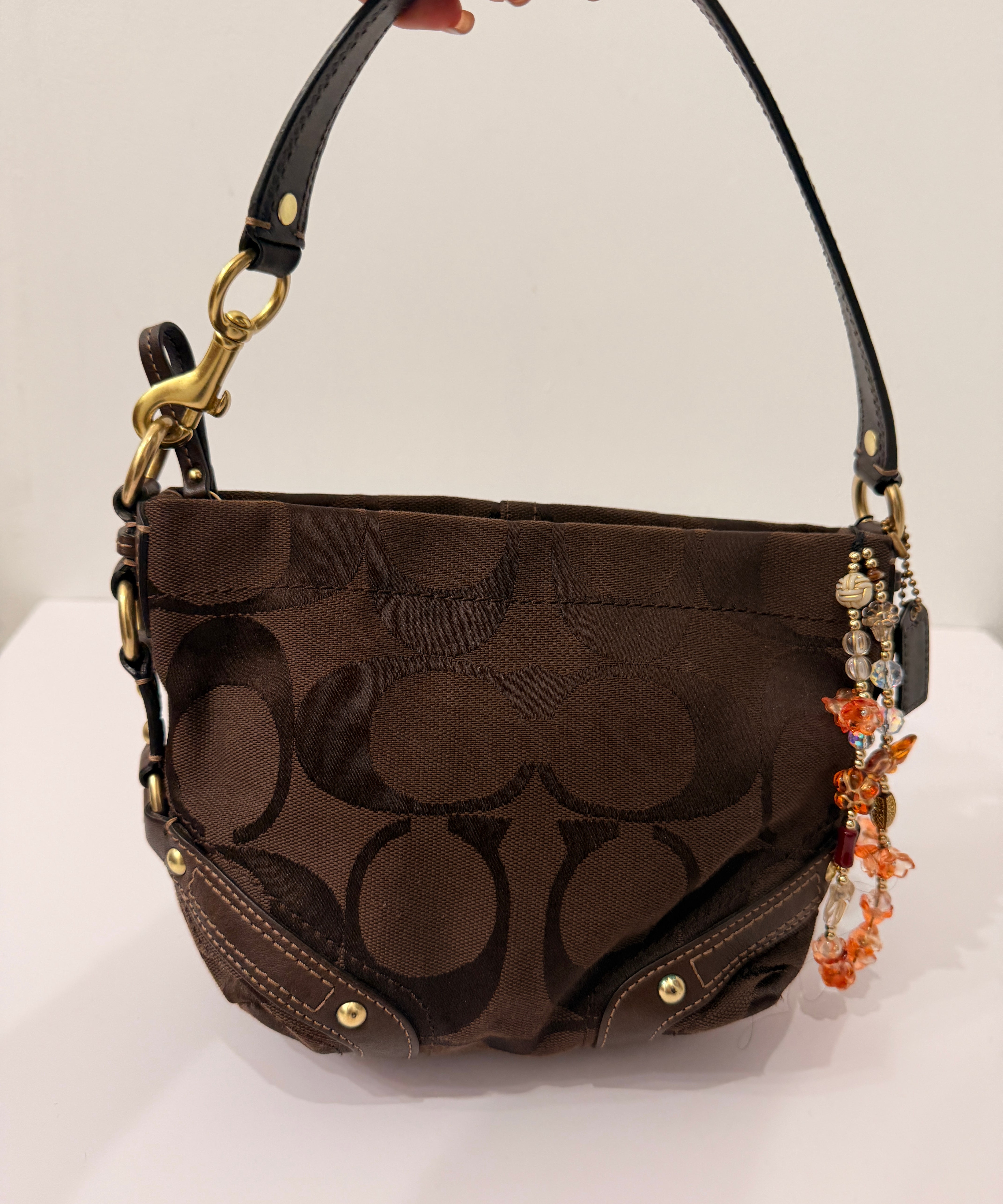 Brown Canvas Small Carly Bag