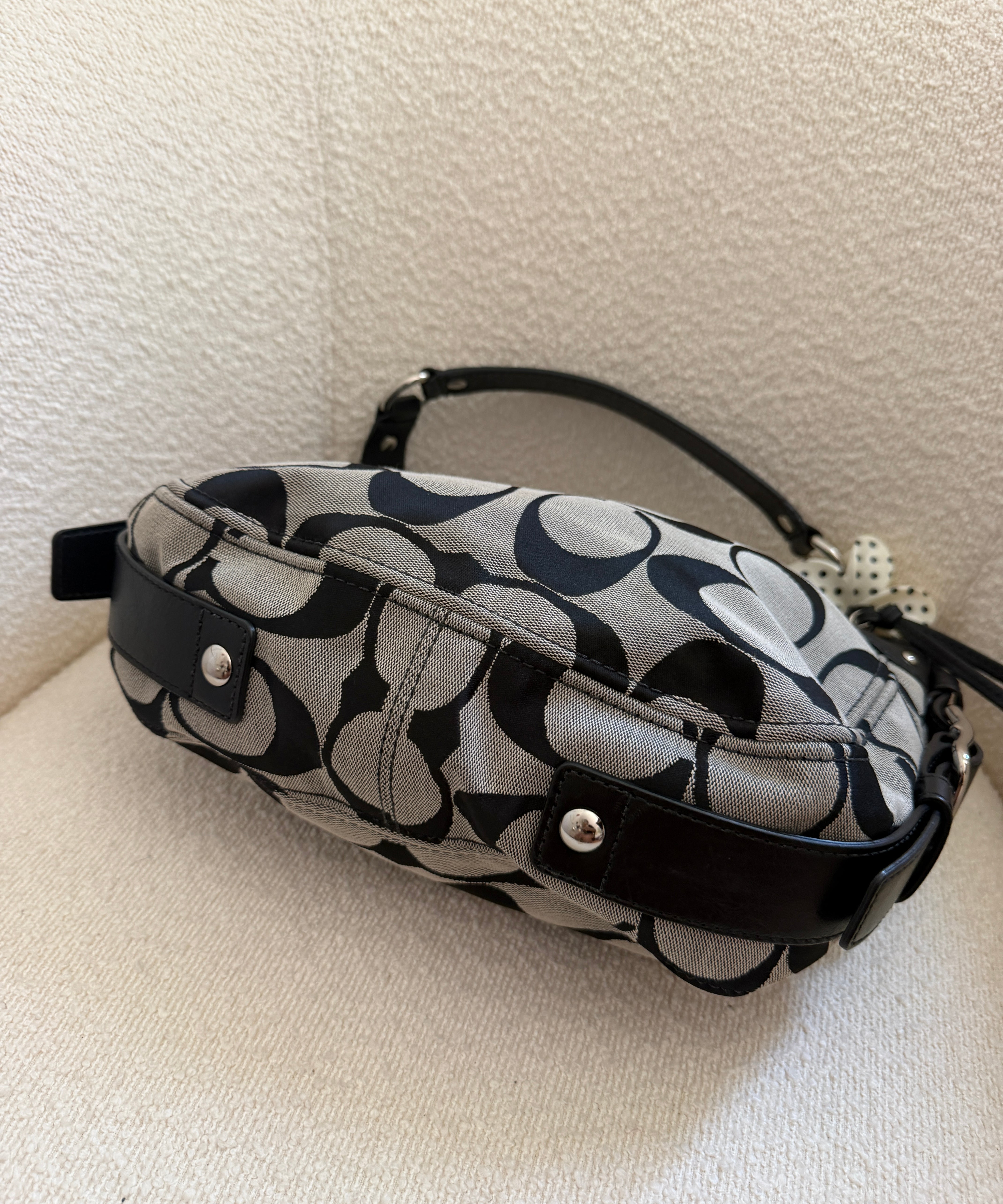 Coach Grey Signature Zoe Bag