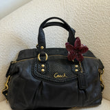 Black Coach Signature Ashley Bag with Snakeskin Trim