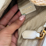 Prada Cinghiale Trimmed Pagila Frame Bag