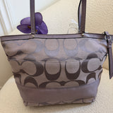 Coach Purple Stripe Tote Bag