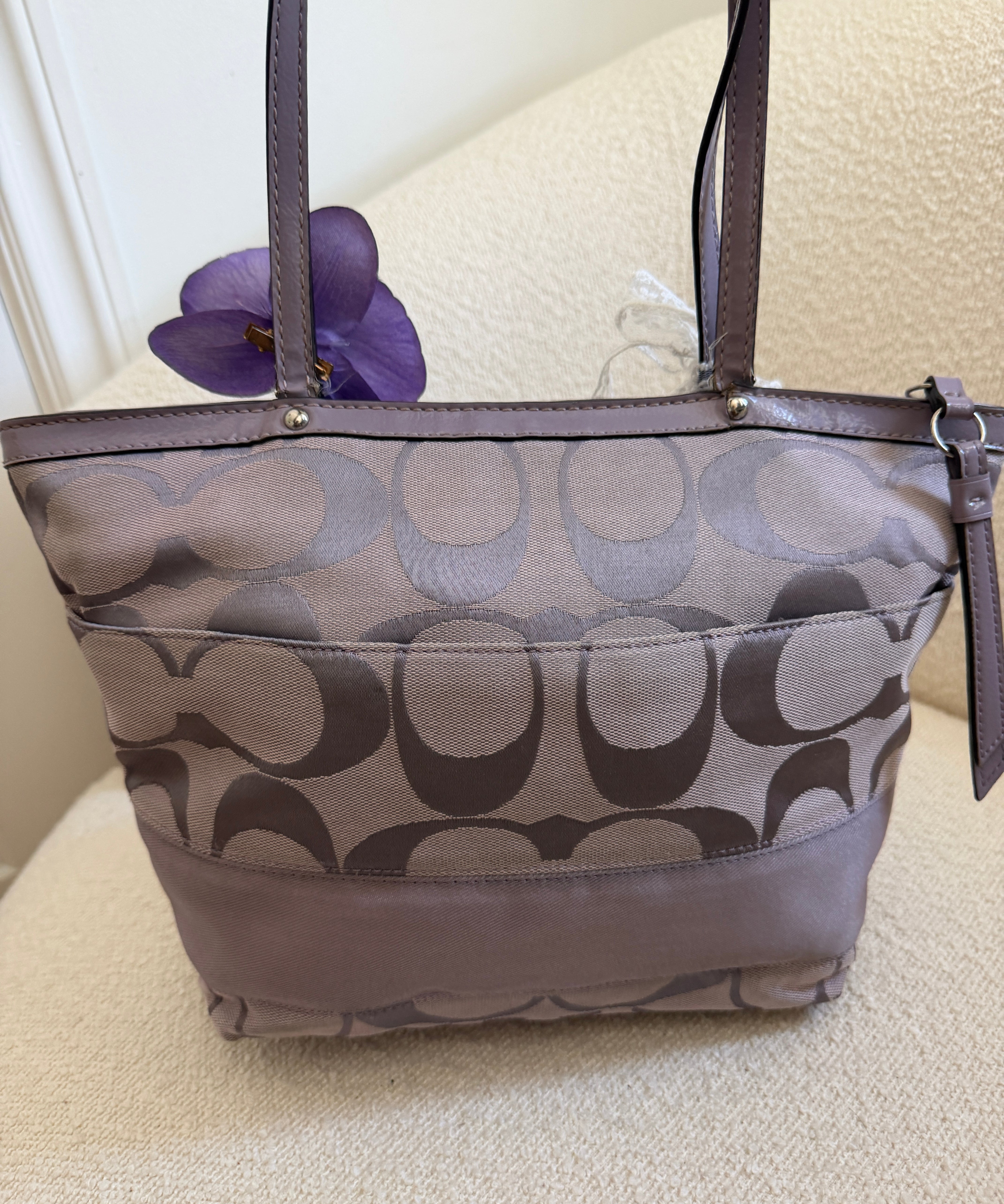 Coach Purple Stripe Tote Bag