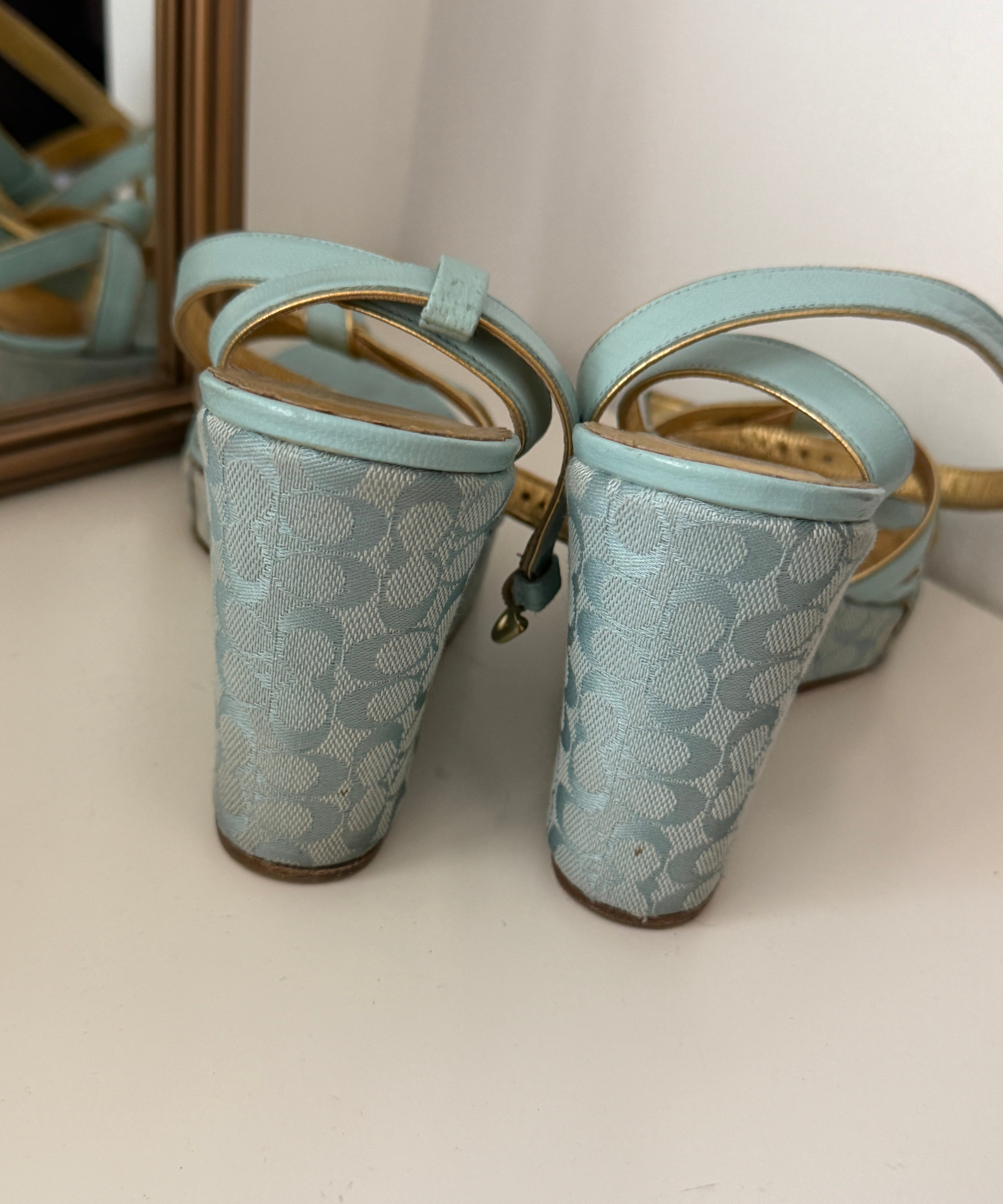 Coach Blue Peep-Toe Cathleen Wedges (7)