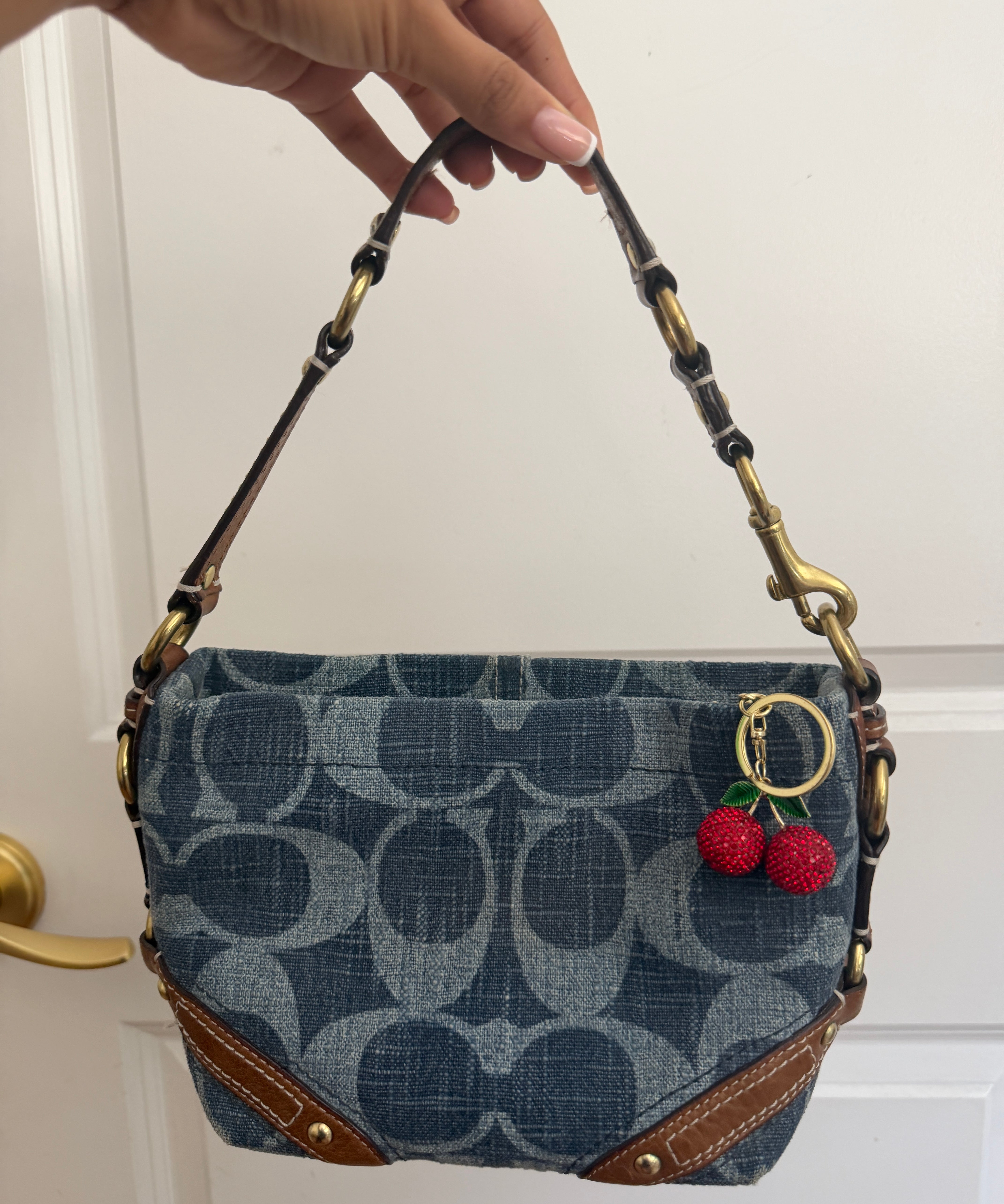 Rare Denim Canvas Small Carly Bag
